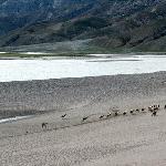 雅鲁藏布江两岸图片 自然风光 风景图片