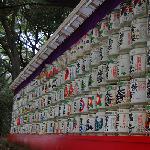 日本游记Dayの明治神宫图片 自然风光 风景图片