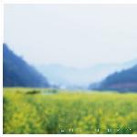 婺源-春图片 自然风光 风景图片