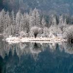 净*雪图片 自然风光 风景图片