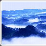 凤凰云海图片 自然风光 风景图片