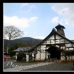 京都-醍醐寺-樱花图片 自然风光 风景图片