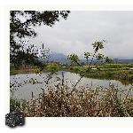 绍兴新昌沃洲湖之三图片 自然风光 风景图片