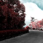 挥霍的季节图片 自然风光 风景图片