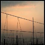 黄昏河坝图片 自然风光 风景图片