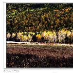 油画般的新疆《五》图片 自然风光 风景图片