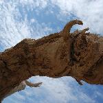 额济纳——不朽图片 自然风光 风景图片