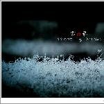·雪の华图片 自然风光 风景图片