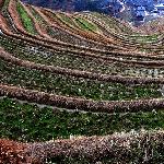 龙胜掠影图片 自然风光 风景图片