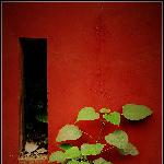 乌尤寺之红墙图片 自然风光 风景图片