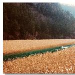 ：九寨沟摄影（秋季篇）图片 自然风光 风景图片
