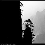 黄山（二）——转傻鸟作品图片 自然风光 风景图片