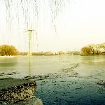 冬天将逝的公园图片 自然风光 风景图片