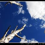 坝上-蓝天白云图片 自然风光 风景图片