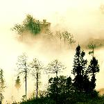 .独处深山雾茫茫图片 自然风光 风景图片