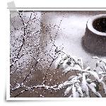 年的雪——景物篇图片 自然风光 风景图片
