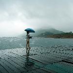 雨青狮(二)图片 自然风光 风景图片