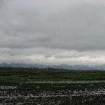 雨后田间图片 自然风光 风景图片