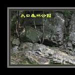 钟祥大口森林公园图片 自然风光 风景图片