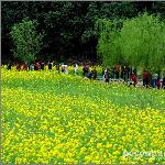最美的山村---婺源图片 自然风光 风景图片