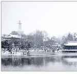 雪后瘦西湖图片 自然风光 风景图片