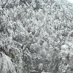 冰天雪地SHOW庐山另类美景图片 自然风光 风景图片