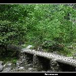 石夹沟之旅-图片 自然风光 风景图片
