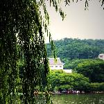 杭州西湖边一掠而过的美景之七图片 自然风光 风景图片