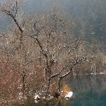 冰雪九寨——树正沟图片 自然风光 风景图片