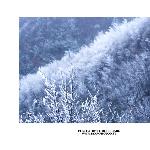 东白山.雪图片 自然风光 风景图片