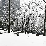 那场大雪(一)图片 自然风光 风景图片