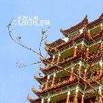 川沙公园 续图片 自然风光 风景图片