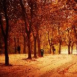 野森摄影---深秋图片 自然风光 风景图片
