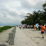 地点：深圳红树林海滨公园图片 自然风光 风景图片