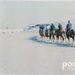 天下雄关嘉峪关图片 自然风光 风景图片