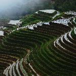 龙脊梯田登天路(二)图片 自然风光 风景图片