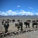 西藏之纳木错图片 自然风光 风景图片