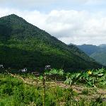 守望大山的花朵图片 自然风光 风景图片