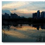 深圳 后海图片 自然风光 风景图片