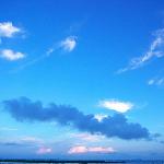 美丽线——钦州海堤PP一组图片 自然风光 风景图片