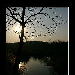 深秋日暮图片 自然风光 风景图片