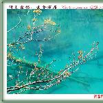 九寨之蓝天碧水图片 自然风光 风景图片