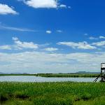 甘南花湖图片 自然风光 风景图片