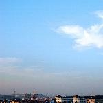 傲气雄鹰图片 自然风光 风景图片