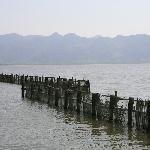 东钱湖畔图片 自然风光 风景图片