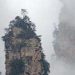 雾中人游雾中山(张家界)图片 自然风光 风景图片