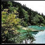 人间瑶池--黄龙图片 自然风光 风景图片