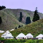 新疆南山牧场图片 自然风光 风景图片