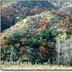喇叭沟门的秋色（一）图片 自然风光 风景图片