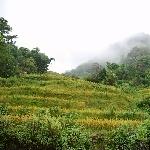 云南之行之《龙树坝徒步》图片 自然风光 风景图片